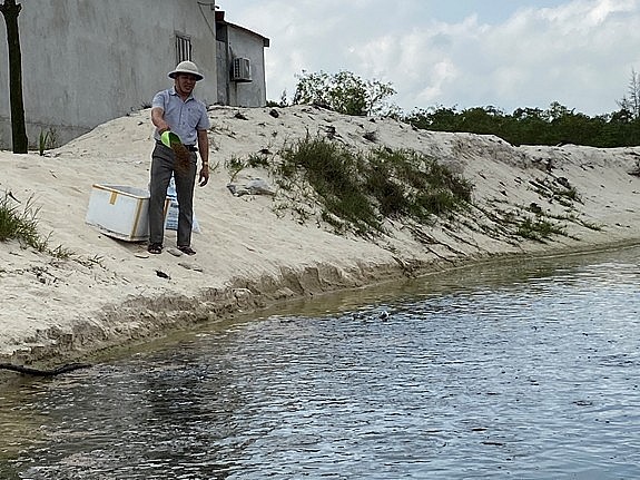 Anh Trần Kim Phi đang cho cá ăn Anh Trần Kim Phi đang cho cá ăn