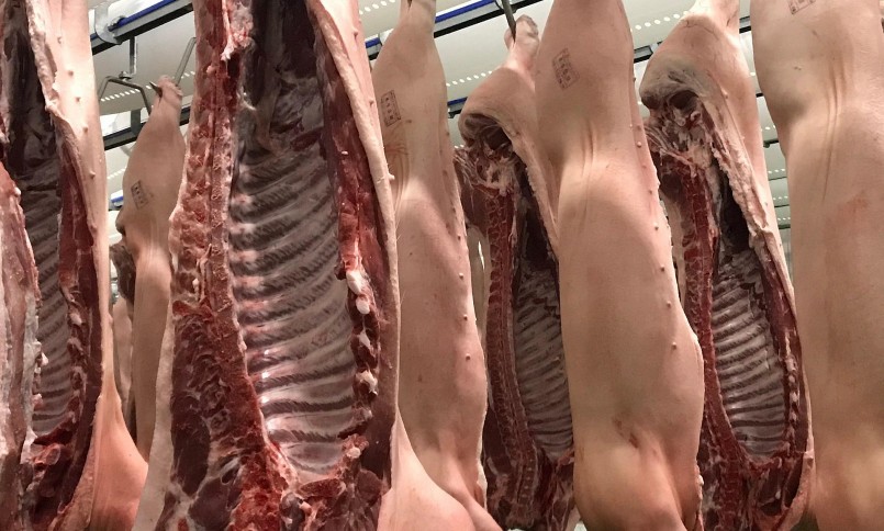 Nhu cầu tiêu thụ thịt heo chậm trong dịp Tết khiến giá heo hơi vẫn neo ở mức thấp.