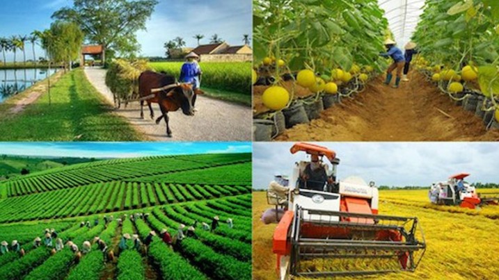 Thủ tướng đề nghị ngành nông nghiệp nâng mục tiêu xuất khẩu lên 55 tỷ USD