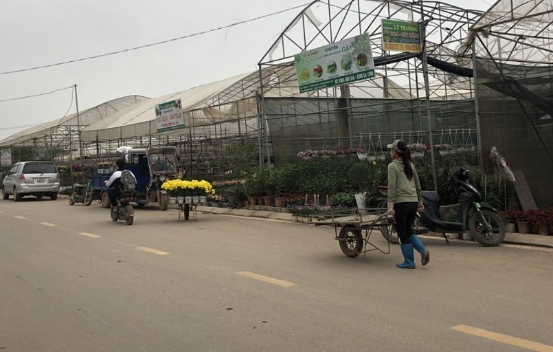 Đường vào thủ phủ hoa Tết Xuân Quan vắng vẻ không sầm uất như mọi năm.