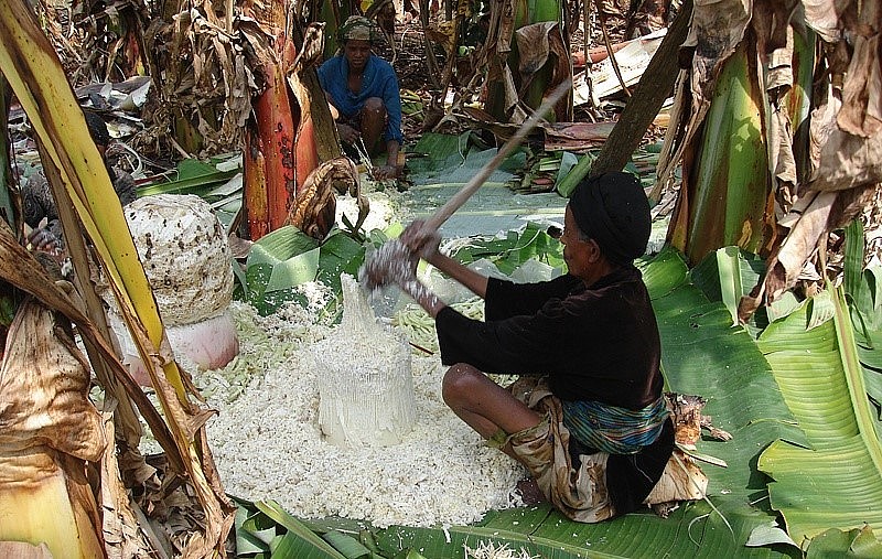 Sau khi lấy lõi xốp ra bằng cào tre, nó cây chuối giả được nghiền nhỏ, trộn với men và ép thành khối, sau đó được cho xuống một hố lót lá enset, phủ lá lên trên, chặn đá và để lên men. Quá trình này có thể kéo dài đến hai năm.