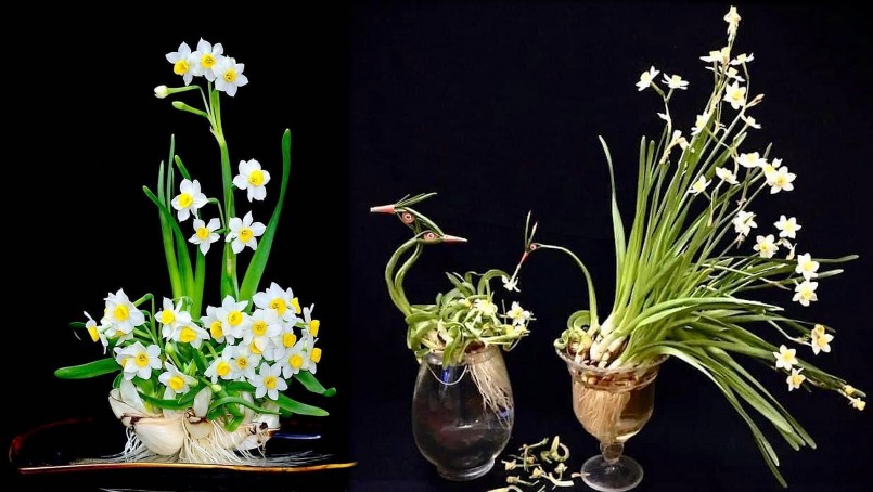 Từ những củ khô sần, xù xì…, qua quá trình gọt tỉa tỉ mỉ của người thợ đã trở thành những lọ hoa rực rỡ, như một tác phẩm nghệ thuật.