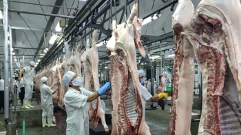 Tăng cường quản lý, kiểm soát giết mổ động vật bảo đảm an toàn dịch bệnh, an toàn thực phẩm