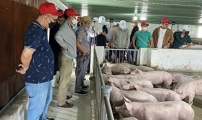 Năm 2022, lợi nhuận sau thuế của doanh nghiệp đạt 1.181 tỷ đồng, vượt 5% so với kế hoạch năm đề ra trong năm nay