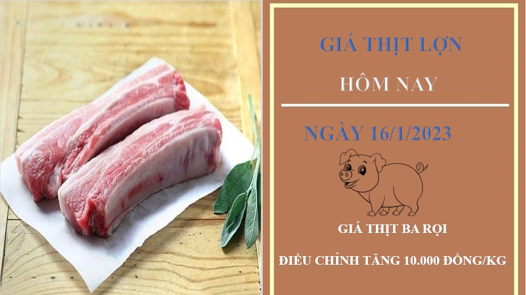 Giá thịt heo hôm nay 16/1/2023: Tăng giá đối với một số sản phẩm tại Công ty Thực phẩm bán lẻ