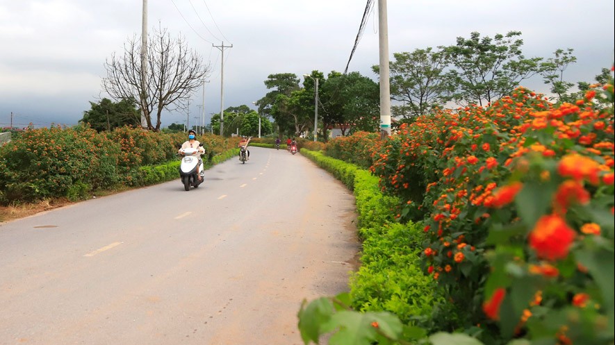 Bảo vệ môi trường nông thôn, nâng cao khả năng thích ứng với biến đổi khí hậu