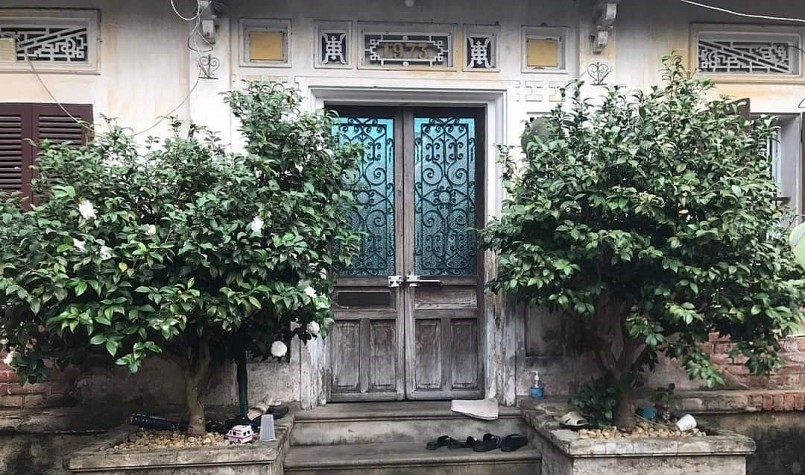 Hai cây trà cổ có tuổi đời vài chục năm được dân yêu trà đánh giá là những cây cực quý.