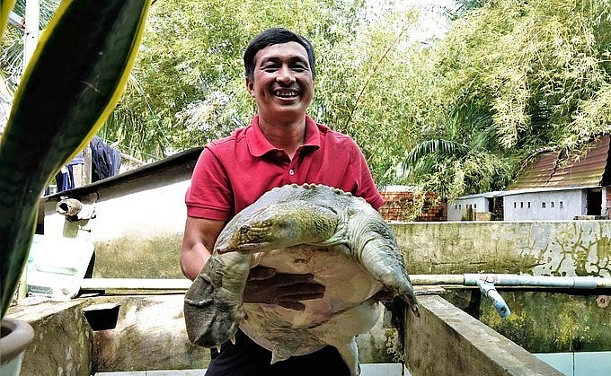 Anh Trần Minh Quan với bí quyết nuôi cua đinh thu về tiền tỷ. Anh Trần Minh Quan với bí quyết nuôi cua đinh thu về tiền tỷ.