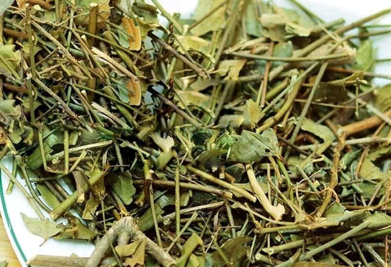 Chè vằng sây khô