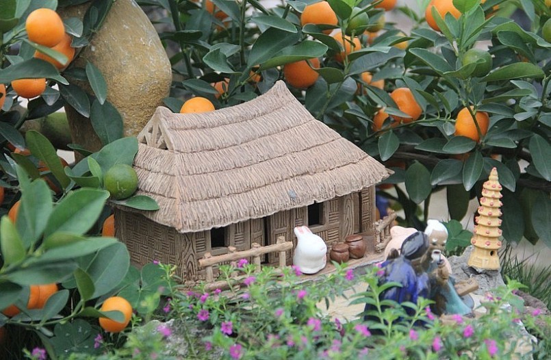 Các chậu quất độc lạ được tạo thế đẹp, ghép trên những thân gỗ lũa, bình cổ, hòn non bộ hay những mái nhà cổ. (Ảnh Phương Hồ).