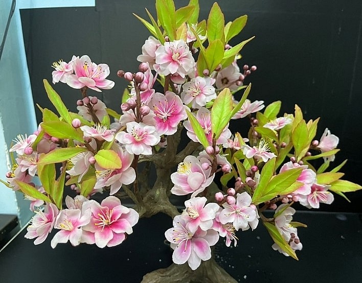 Các chậu bonsai này nhỏ, kích thước từ 30cm đến 90cm được rất nhiều người ưa chuộng, cứ làm đến đâu là hết đến đó.