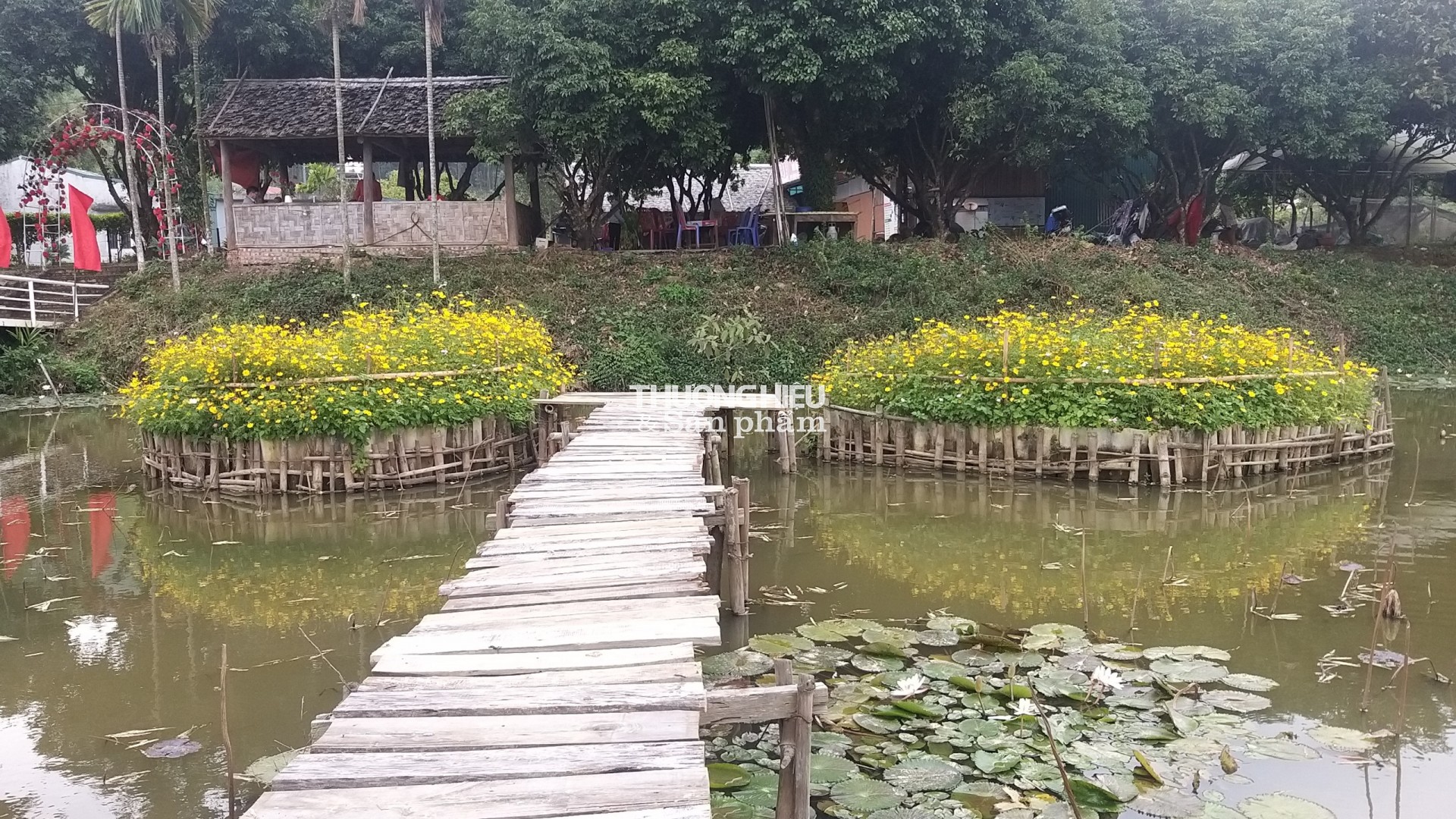 Thung Lũng Hoa Yên tử chuẩn bị chào tết Qúy Mão 2023