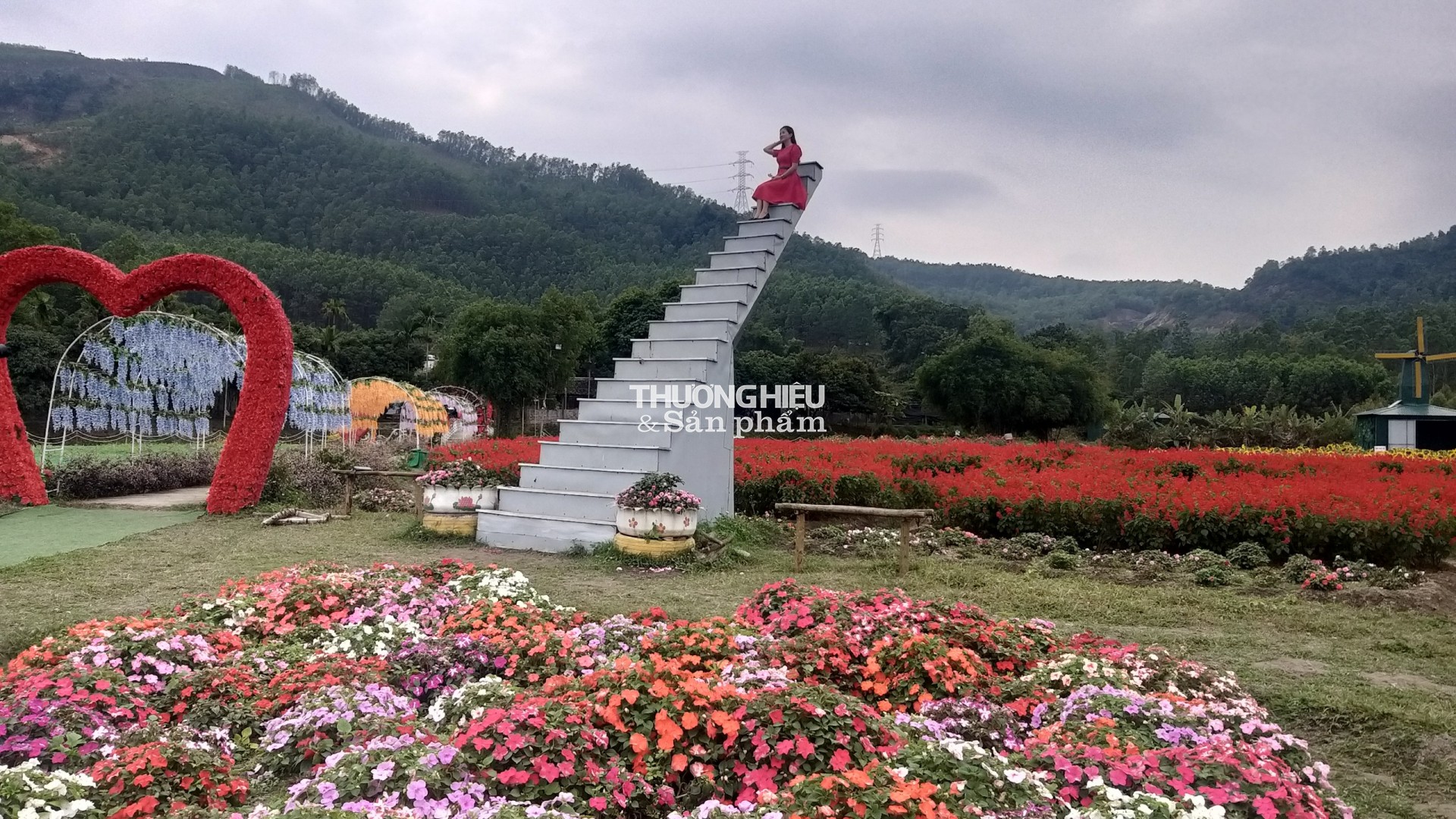 Thung Lũng Hoa Yên tử chuẩn bị chào tết Qúy Mão 2023