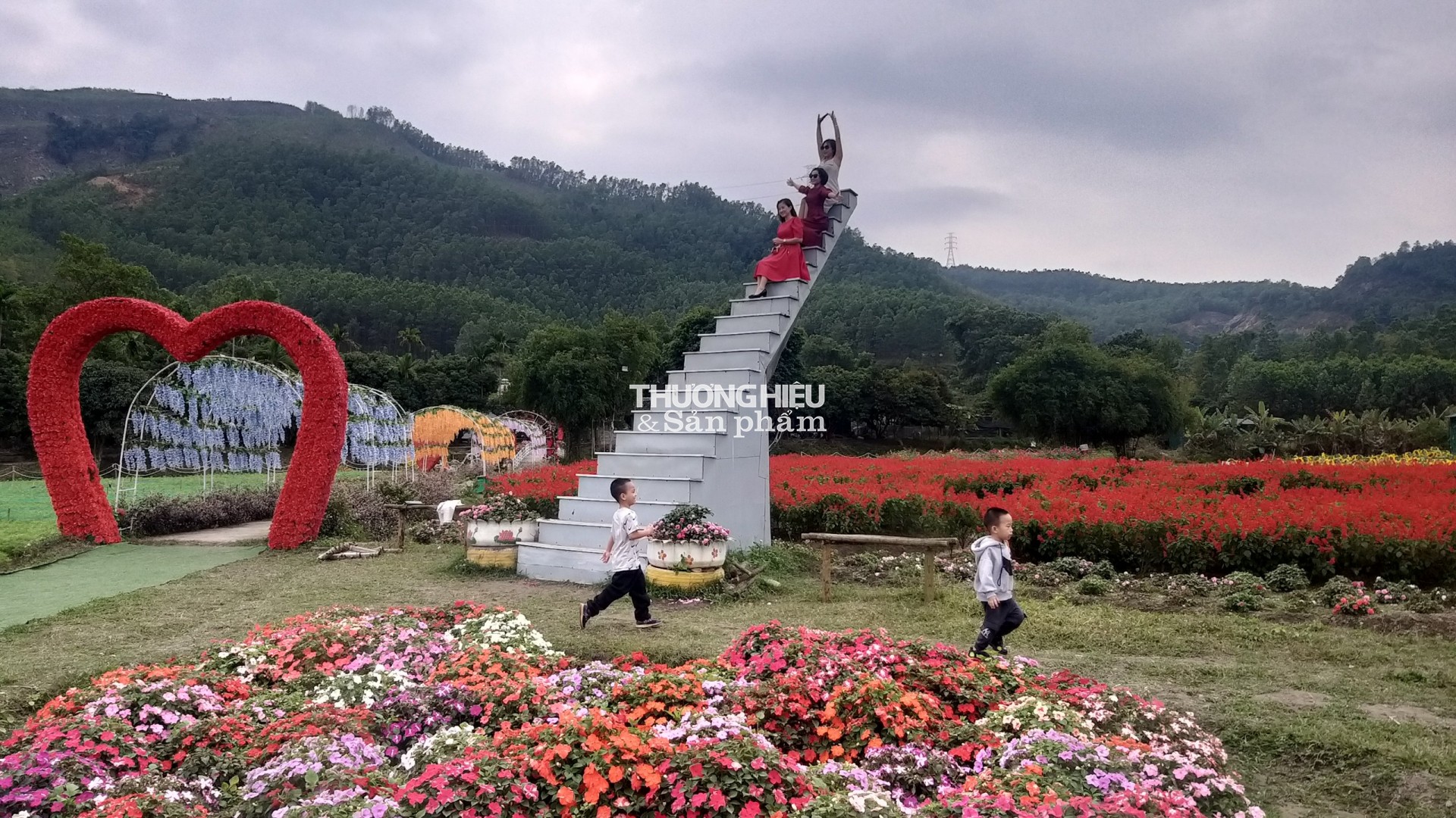 Thung Lũng Hoa Yên tử chuẩn bị chào tết Qúy Mão 2023