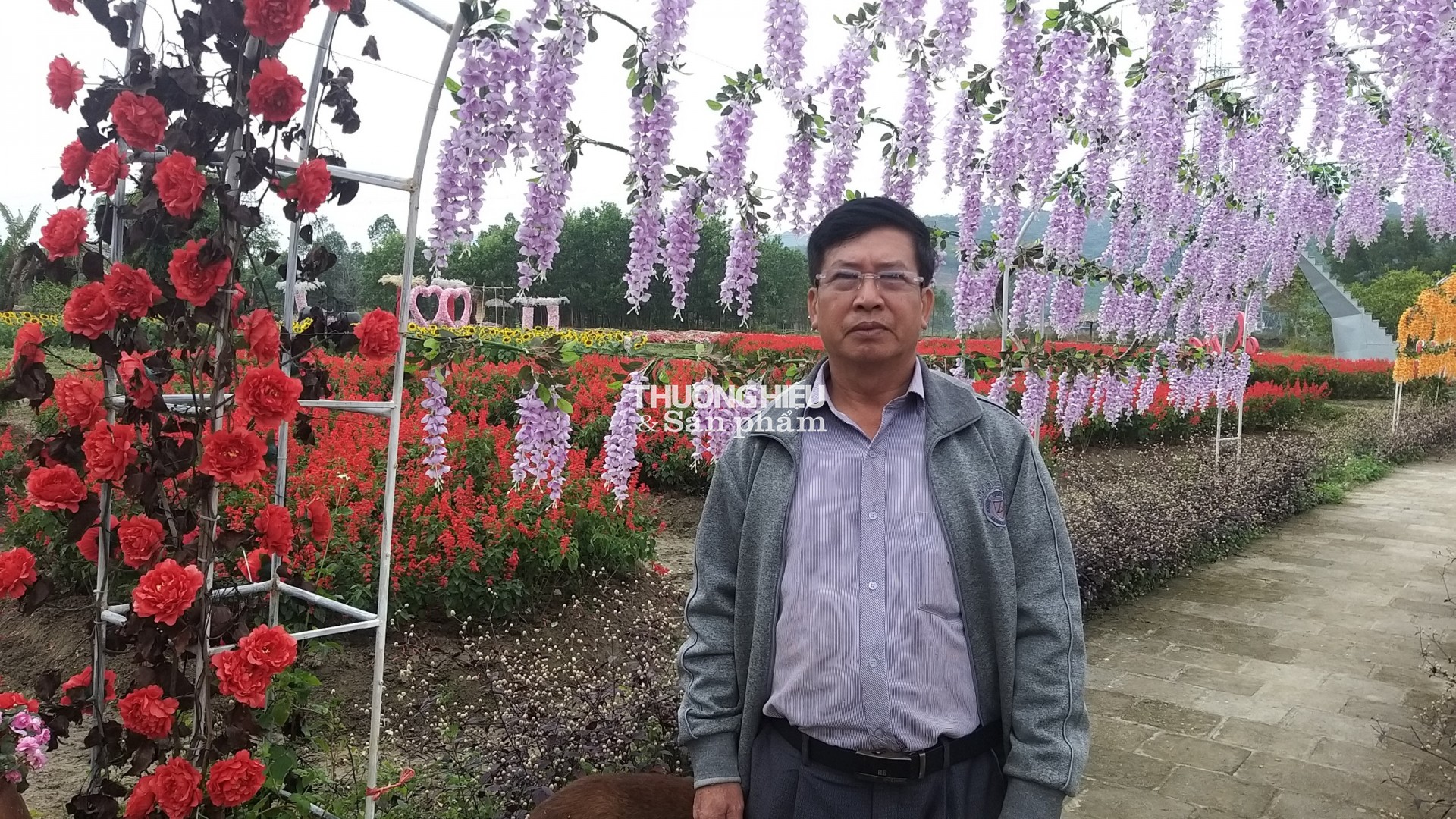 Thung Lũng Hoa Yên tử chuẩn bị chào tết Qúy Mão 2023