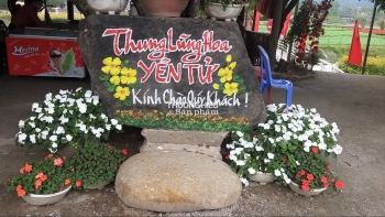 Thung lũng hoa Yên Tử sẵn sàng đón khách dịp Tết Qúy Mão 2023