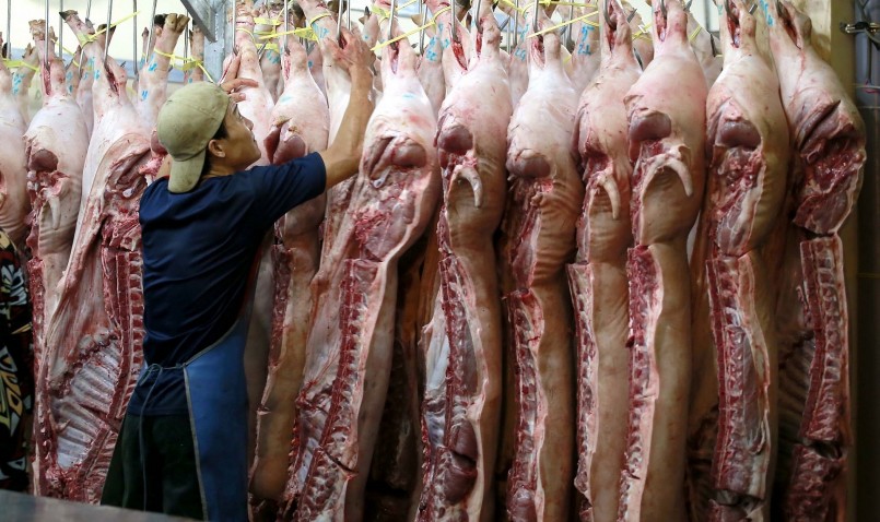 Đã bước vào cao điểm tiệu thụ thịt heo dịp tết nhưng giá heo hơi hôm nay không tăng vẫn duy trì ở mức thấp. Đã bước vào cao điểm tiệu thụ thịt heo dịp tết nhưng giá heo hơi hôm nay không tăng vẫn duy trì ở mức thấp.