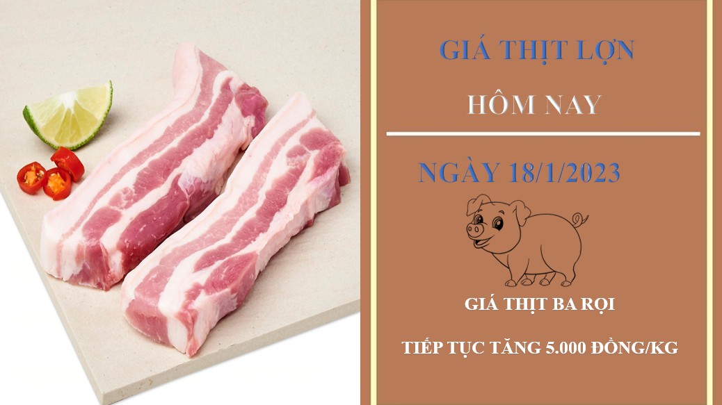Giá thịt heo hôm nay 18/1/2023: Tiếp tục tăng 5.000 đồng/kg tại Công ty Thực phẩm bán lẻ