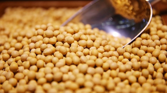 Việt Nam nhập khẩu 1,84 triệu tấn đậu tương