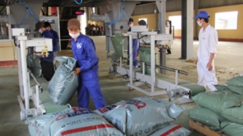 Kim ngạch xuất khẩu thức ăn gia súc năm 2022 giảm nhẹ