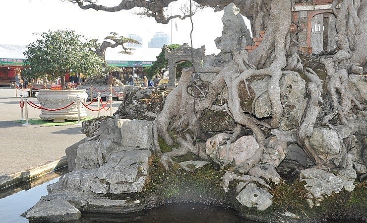 Qua thời gian, hình ảnh cây đại thụ hàng trăm năm tuổi bao trùm lên cổng làng rất cổ kính.