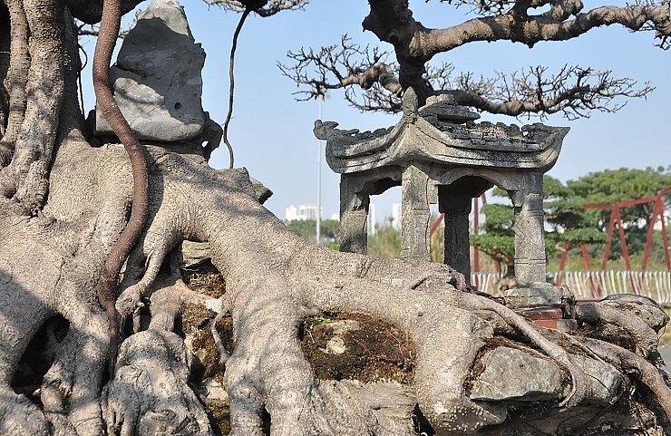 Hình ảnh bến nước dưới gốc đa cổ thụ mang đậm hồn quê của vùng Đồng bằng Bắc bộ cũng được ông khắc hoạ rõ nét.