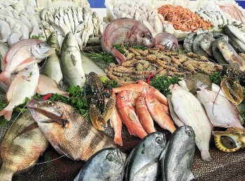 Nhập khẩu thủy sản năm 2022 tăng 36,6%