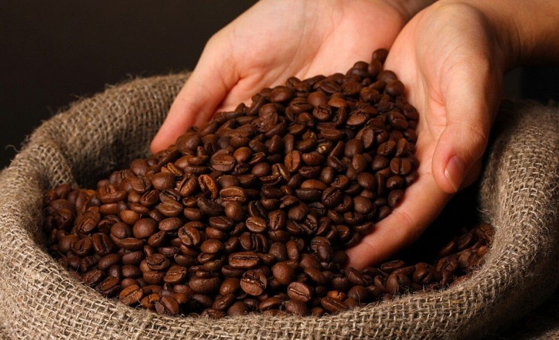 Giá nông sản hôm nay