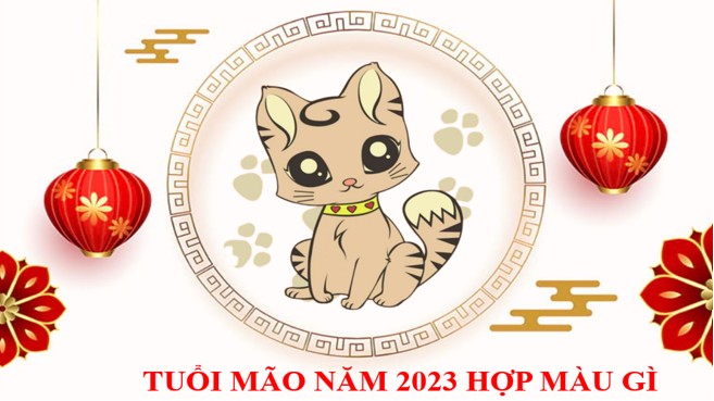 Tuổi Mão năm 2023 hợp màu gì để thu hút tiền tài cả năm?