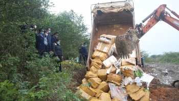 Quảng Bình tiêu hủy hàng hóa bị tịch thu trị giá gần 4,7 tỷ đồng