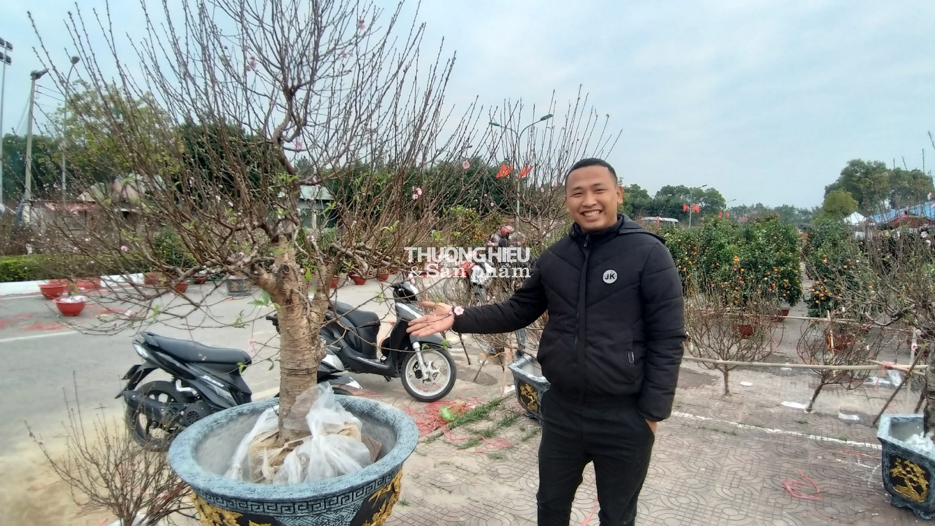 Cây Đào "khủng nhất" Quảng Ninh được trung bày tại chợ Hoa xuân thị xã Quảng Yên - Xuân Qúy Mão