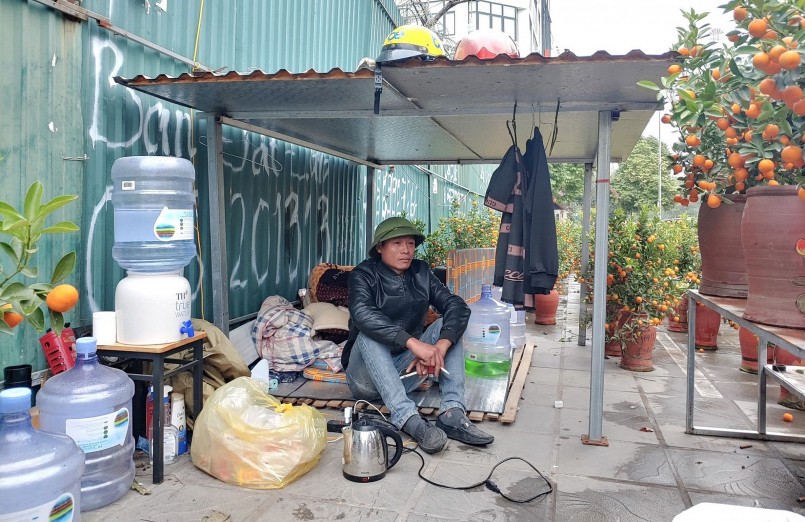 Anh Toàn thẫn thờ nhìn những hàng quất kéo dài chờ người mua. Ảnh: Thiều Trang