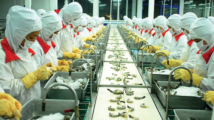 Xuất khẩu tôm đạt 4,3 tỷ USD trong năm 2022