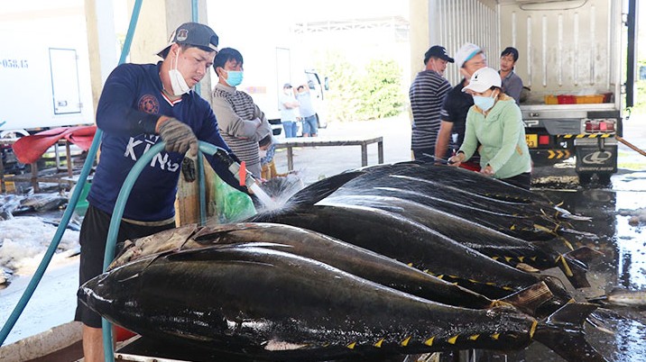 Xuất khẩu cá ngừ cán đích 1 tỷ USD