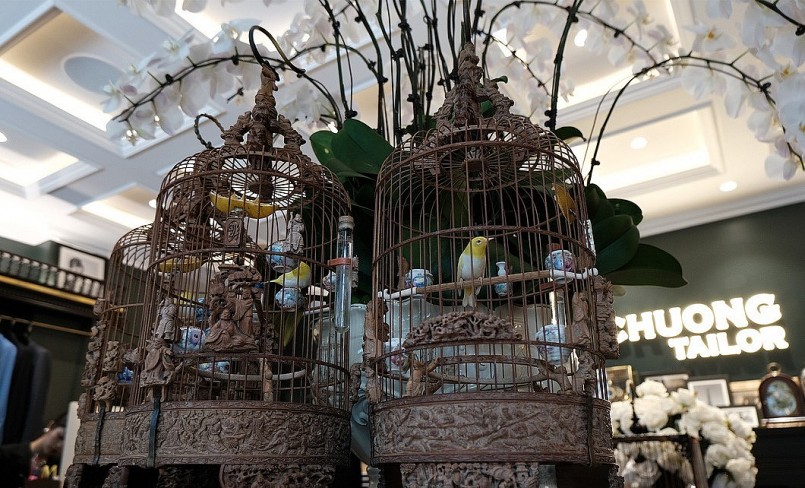 Mỗi chú chim được sắm thêm chiếc lồng được chạm khắc tinh xảo 