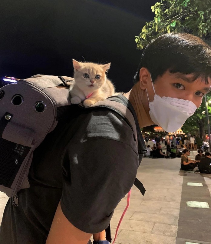 Từ việc chữa trị bệnh, anh H. đã gắn bó với loài mèo (Ảnh: NVCC).