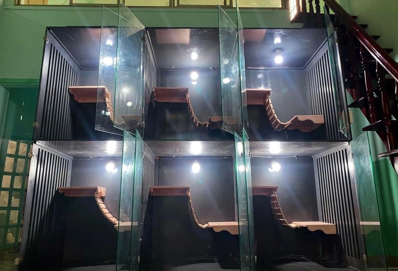 Anh H. đã xây nhà gỗ làm nơi ngủ nghỉ cho đàn mèo của mình (Ảnh: NVCC).