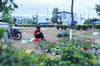 Chợ hoa miền đất võ vắng khách, người bán như "ngồi trên đống lửa" trong đêm 30 Tết Nguyên đán