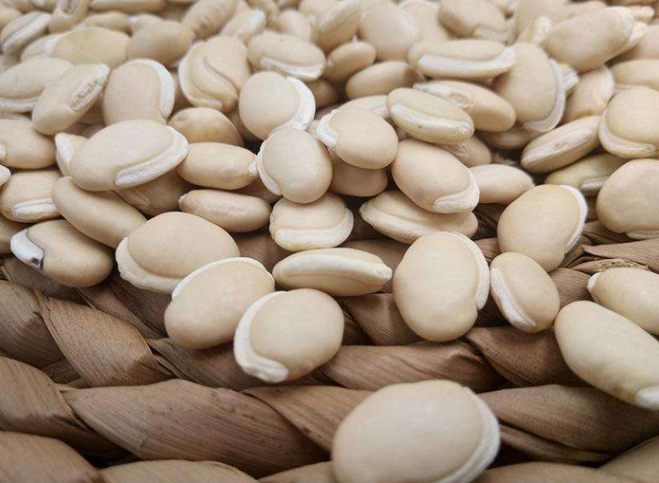 Bạch biển đậu không chỉ được dùng để chế biến món ăn