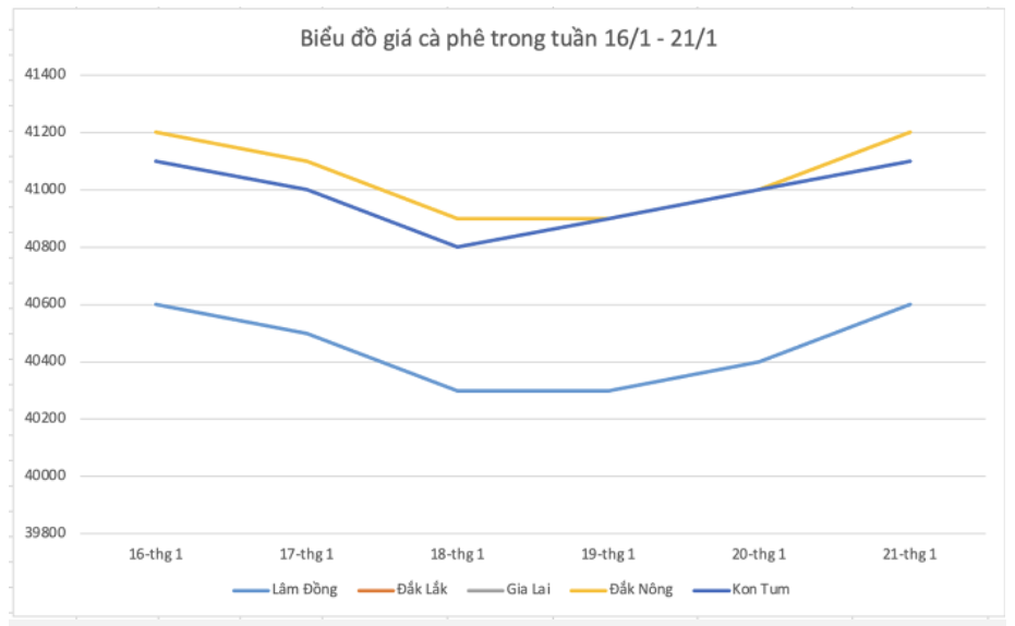 Giá nông sản hôm nay (22/1) diễn biến giá cà phê trong tuần.
