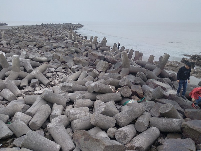 Trồng cây dại nhìn đâu cũng thấy quả “tím lịm tim”, 2 anh nông dân bỏ túi tiền tỷ mỗi năm