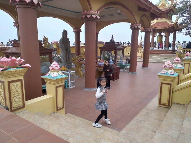 Trồng cây dại nhìn đâu cũng thấy quả “tím lịm tim”, 2 anh nông dân bỏ túi tiền tỷ mỗi năm