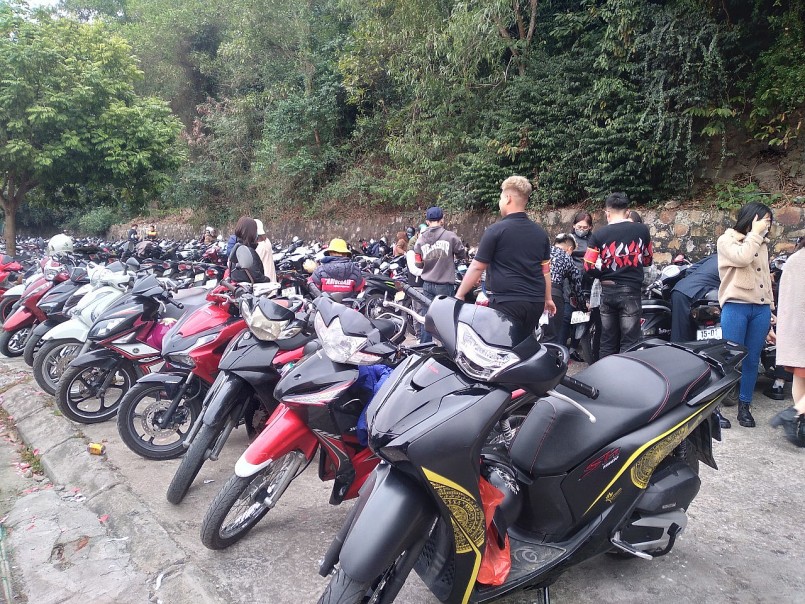 Trồng cây dại nhìn đâu cũng thấy quả “tím lịm tim”, 2 anh nông dân bỏ túi tiền tỷ mỗi năm