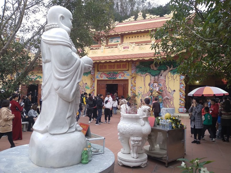 Trồng cây dại nhìn đâu cũng thấy quả “tím lịm tim”, 2 anh nông dân bỏ túi tiền tỷ mỗi năm