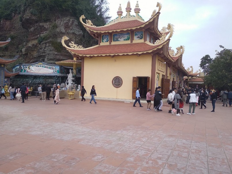 Trồng cây dại nhìn đâu cũng thấy quả “tím lịm tim”, 2 anh nông dân bỏ túi tiền tỷ mỗi năm