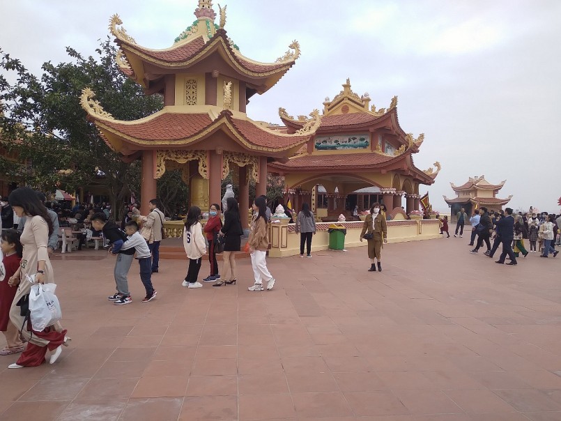 Trồng cây dại nhìn đâu cũng thấy quả “tím lịm tim”, 2 anh nông dân bỏ túi tiền tỷ mỗi năm