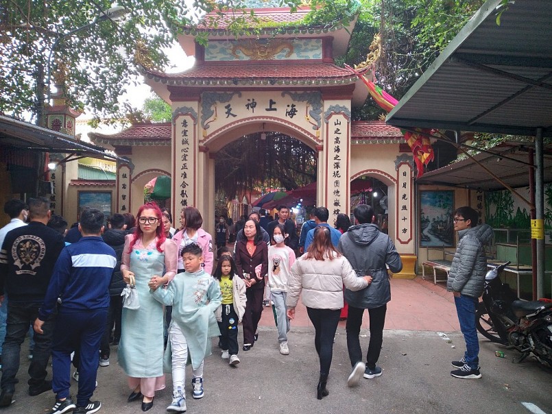 Trồng cây dại nhìn đâu cũng thấy quả “tím lịm tim”, 2 anh nông dân bỏ túi tiền tỷ mỗi năm