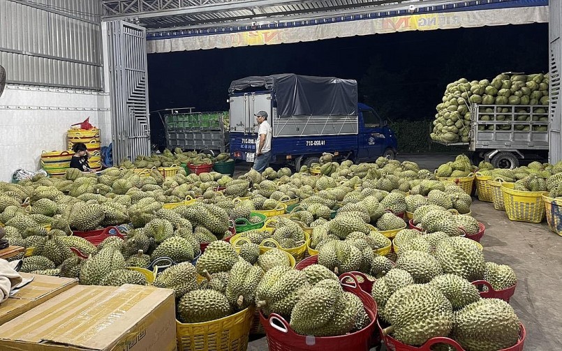 Dự báo giá sầu riền sẽ tiếp tục tăng cao trong năm 2023. Dự báo giá sầu riền sẽ tiếp tục tăng cao trong năm 2023.