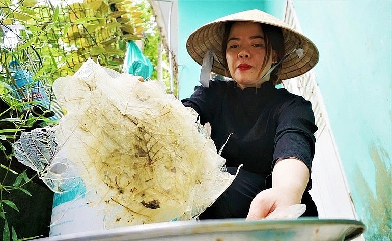 Việc chọn lá cũng lắm công phu. Theo chị, cây được chọn cần mọc ở những nơi đất khô cằn, như vậy gân mới chắc, lá cũng phải già, tốt nhất là lá đã rụng dưới gốc cây. 