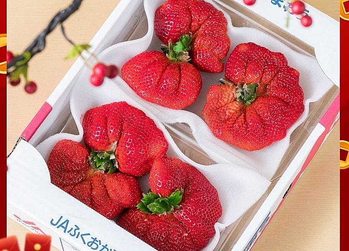 Dâu cánh quạt nhập về Việt Nam có giá tiền triệu